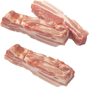 Bacon PNG-10900